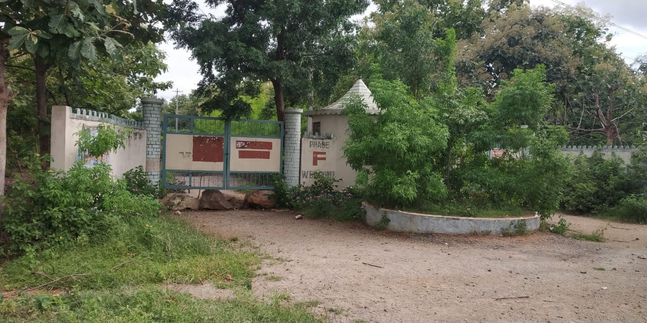 WhatsApp Image 2026-01-29 at 4.01.17 PM (1)